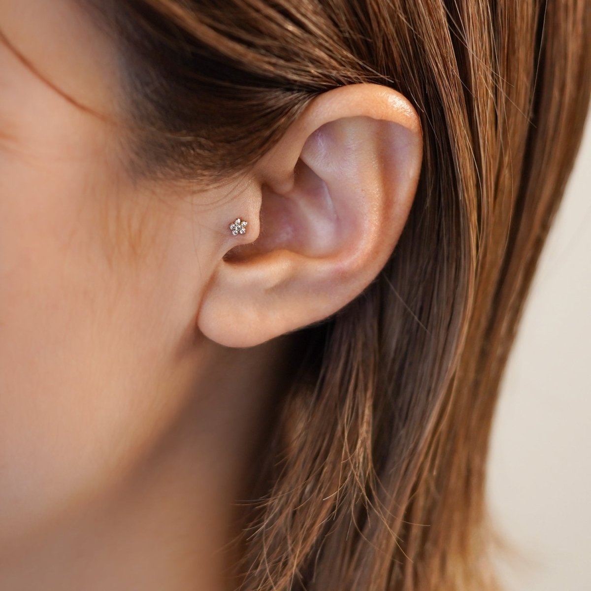 Bunga Berlian K10 - picollet